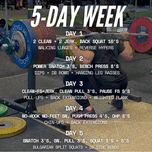 THE SQUAT PROGRAM (5-DAY)