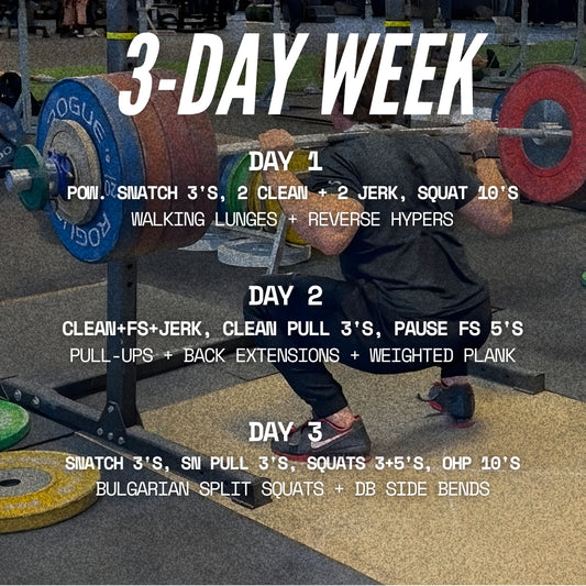THE SQUAT PROGRAM (3-DAY)