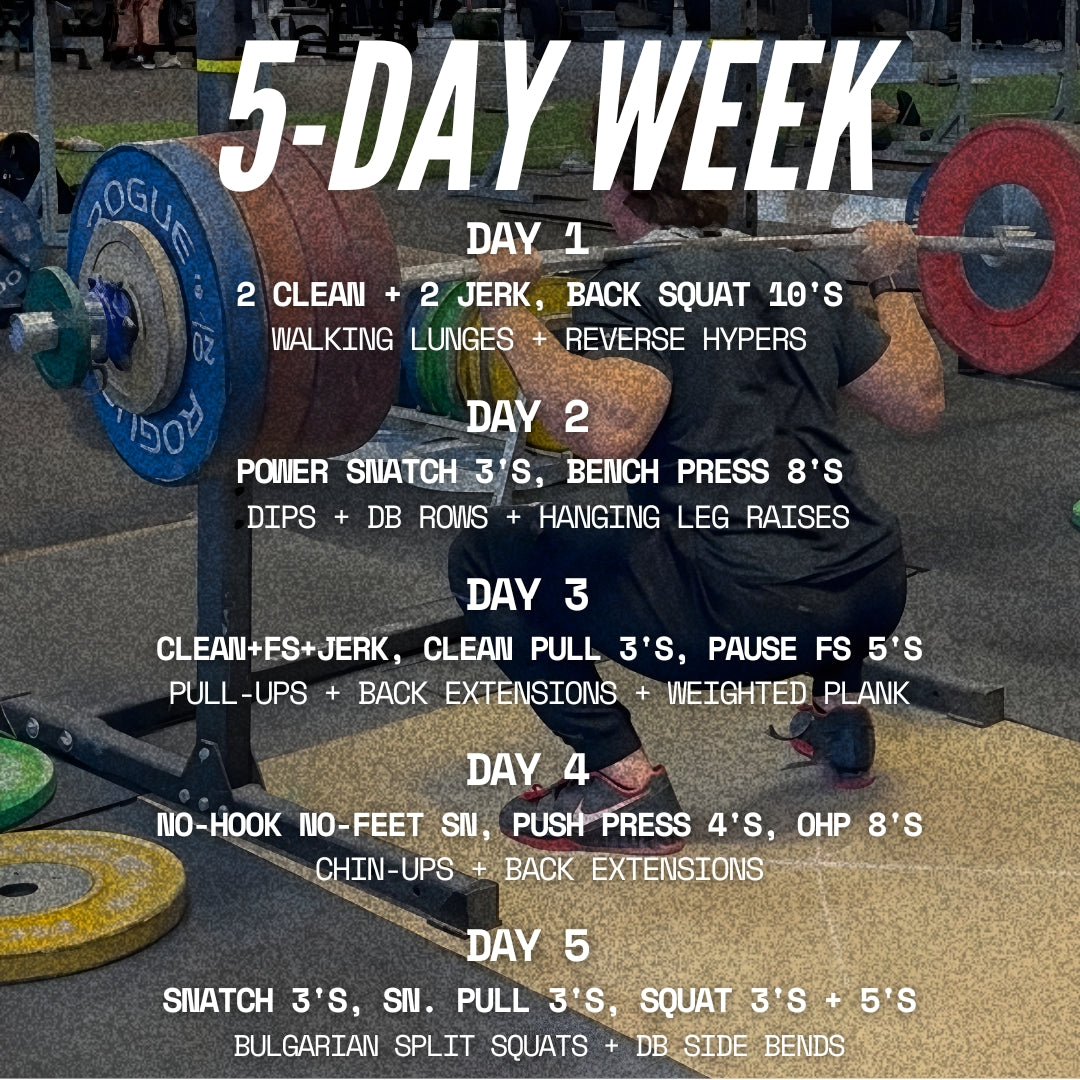 THE SQUAT PROGRAM (5-DAY)