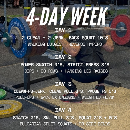 THE SQUAT PROGRAM (4-DAY)