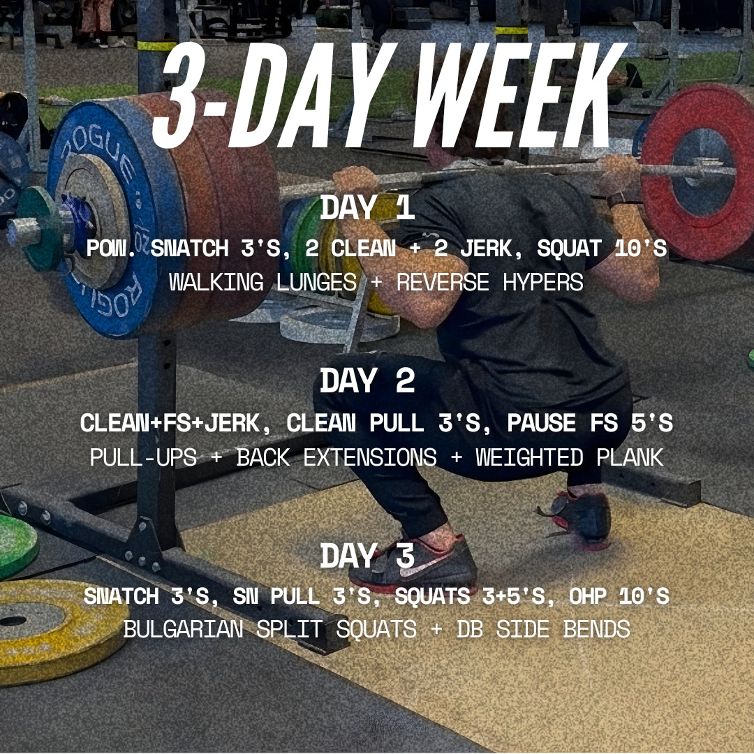 THE SQUAT PROGRAM (3-DAY)